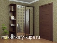 Шкаф-купе_1 1800-600-2200